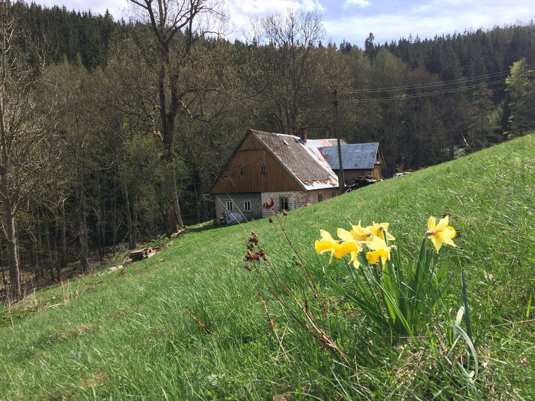 Nabízíme dlouhodobý podnájem staré chalupy v Krkonoších, na 
