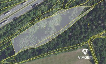 Nabízíme k prodeji lesní pozemky o celkové výměře 10 985 m² 