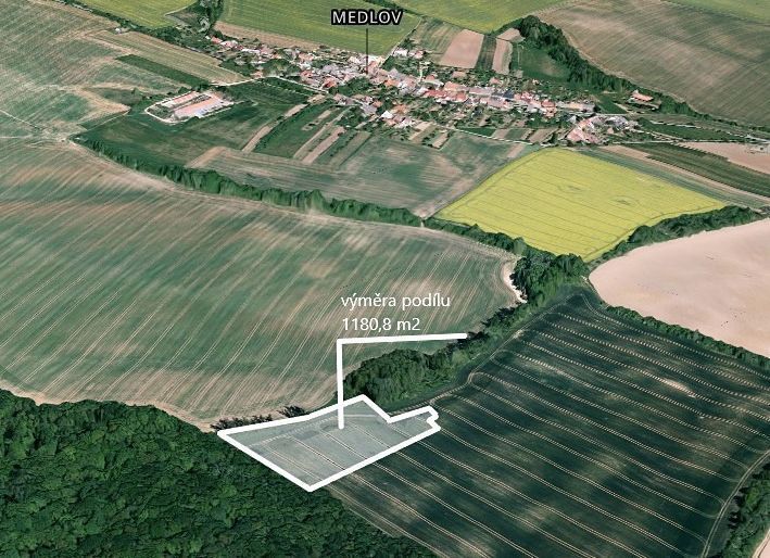 Hledáte ideální investici do budoucnosti? Chcete mít jistotu