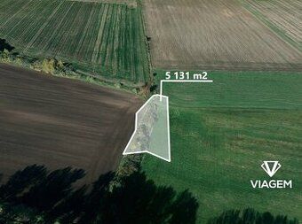 Hledáte investici, která se vyplatí? Chcete mít jistotu, že 