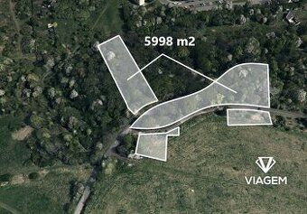 Nabízíme k prodeji zdravý a dobře udržovaný les o výměře 5 9