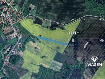 Hledáte ideální investici do budoucnosti? Co může být lepší 