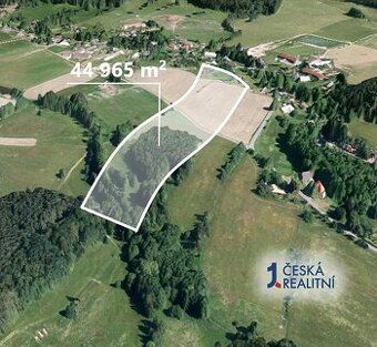 Hledáte ideální investici do budoucnosti? Co takhle pořízení