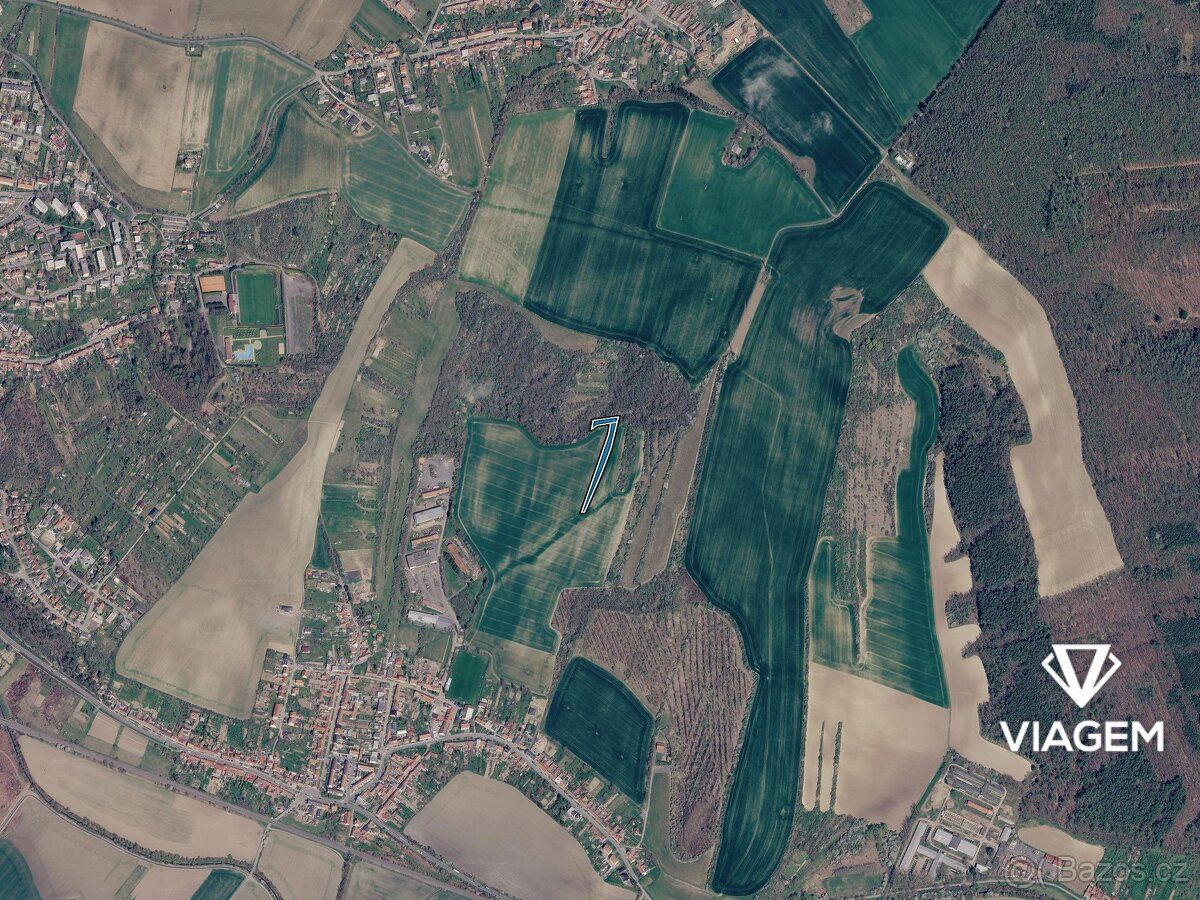 Nabízíme lesní pozemky v katastrálním území Vícemilice, okre