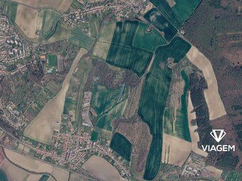 Nabízíme lesní pozemky v katastrálním území Vícemilice, okre