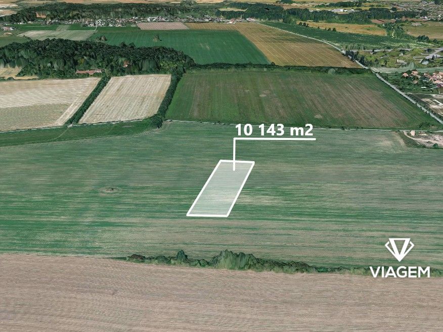 Hledáte investici, která vám přinese stabilní zisk a ochranu