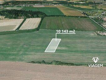 Hledáte investici, která vám přinese stabilní zisk a ochranu