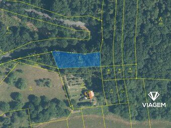 Nabízím k prodeji lesní pozemek o výměře 820 m² v katastru o