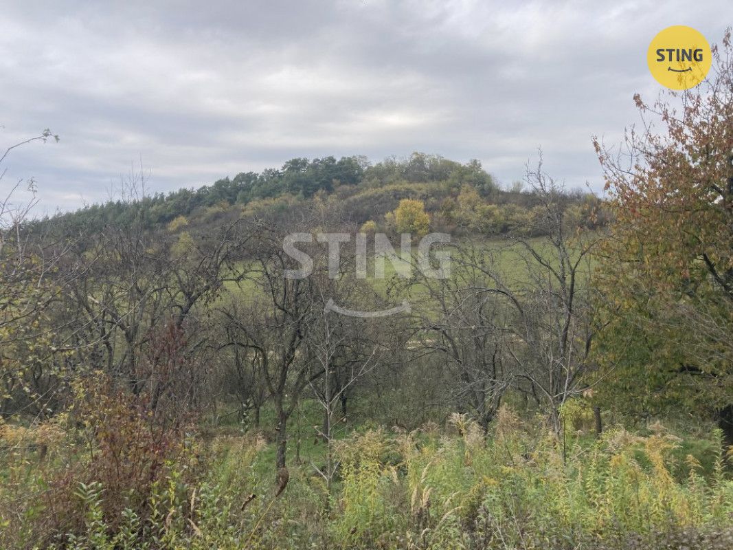 Nabízíme k prodeji ovocný sad o rozloze 4 839 m² v Koryčanec