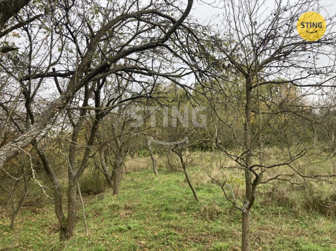 Nabízíme k prodeji ovocný sad o rozloze 4 839 m² v Koryčanec