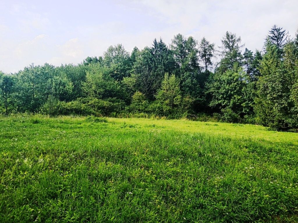 Pozemek 3.200 m2 v Třinci - Dolní Líštná, cena 319,-Kč/m2, l
