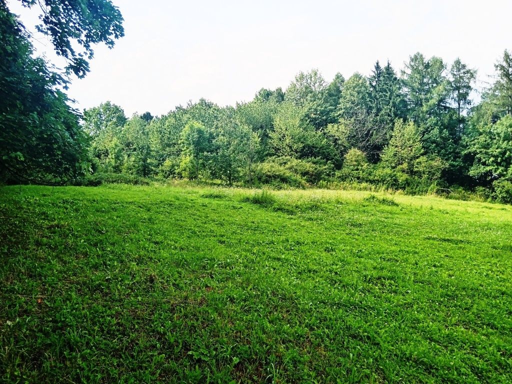 Pozemek 3.200 m2 v Třinci - Dolní Líštná, cena 319,-Kč/m2, l