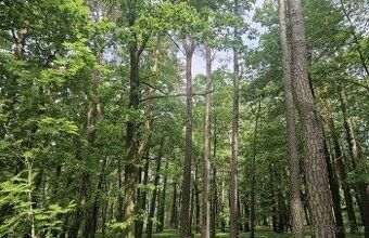 Ev.č. 2026-06-23-063940 U nás nakupujete přímo od vlastníka 