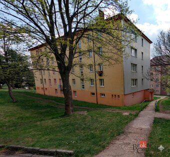 Pronájem, byty/3+1, 60 m2, Školní 1376, 34701 Tachov, Tachov