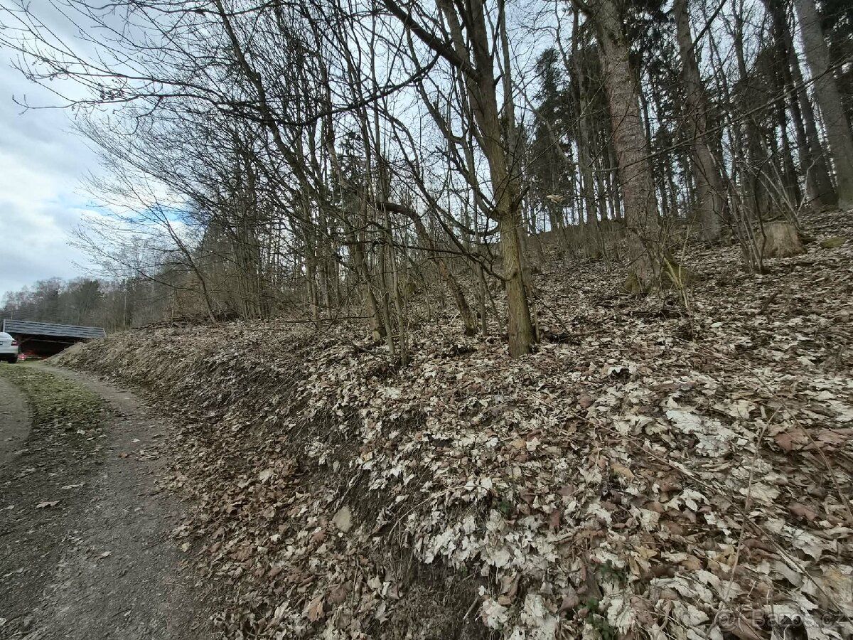 Nabízím lesní pozemek o rozloze téměř 2 000 m² s krásným výh