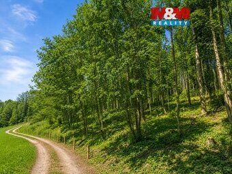 Nabízím lesní pozemek o rozloze téměř 2 000 m² s krásným výh