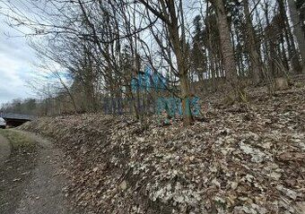 Nabízím lesní pozemek o rozloze téměř 2 000 m² s krásným výh