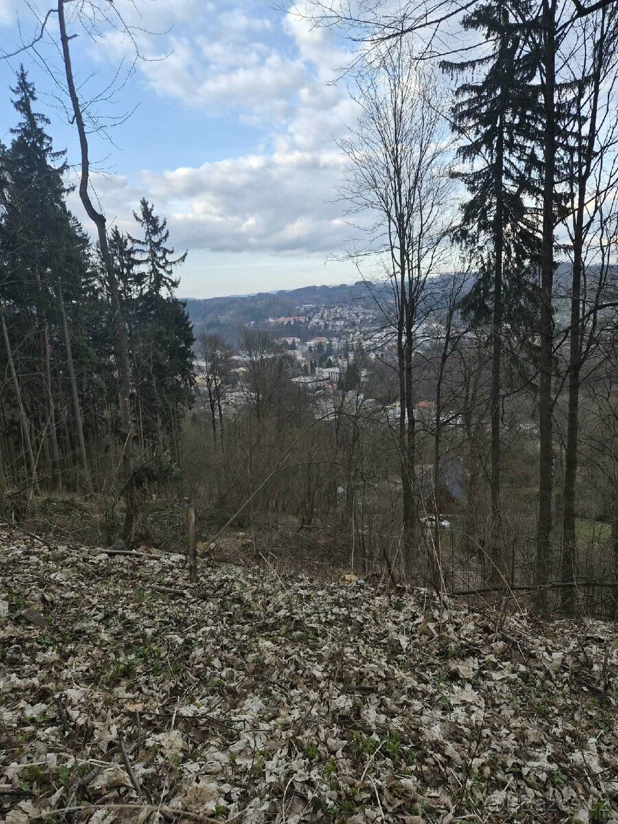 Nabízím lesní pozemek o rozloze téměř 2 000 m² s krásným výh