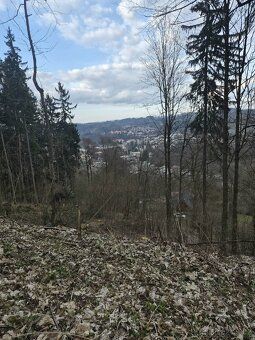 Nabízím lesní pozemek o rozloze téměř 2 000 m² s krásným výh