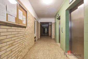 Pronájem, byty/1+1, 39 m2, Družby 343, Polabiny, 53009 Pardu