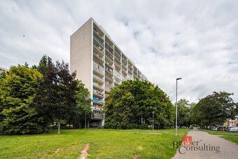 Pronájem, byty/1+1, 39 m2, Družby 343, Polabiny, 53009 Pardu