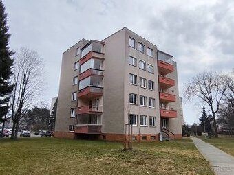 Dobrý den, hledam byt k pronájmu případně koupi v ulici Rybo