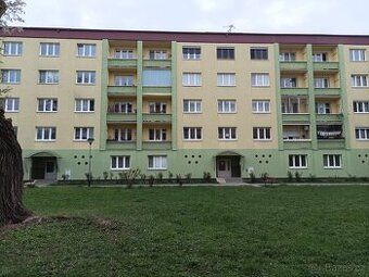 Jsme pár s 9. měsíčním miminkem.Se dvěma domácími, čistotným