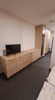 Pronájem kompletně vybaveného apartmánu o dispozici 1+kk s m
