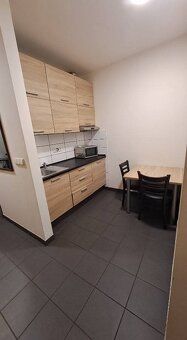 Pronájem kompletně vybaveného apartmánu o dispozici 1+kk s m