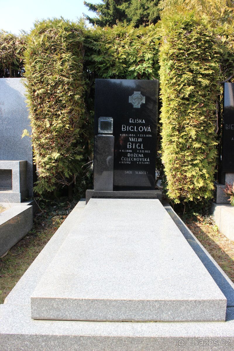 Prodám hrobové místo s vyzděnou hrobkou a pomníkem na hřbito