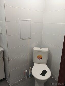 Nabízím k pronájmu byt 2+1, 52 m², Borová 5158, Chomutov. By