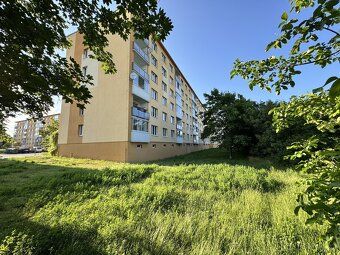 Nabízím k pronájmu čistý a světlý družstevní byt 1+1 o velik