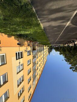 Nabízím k pronájmu čistý a světlý družstevní byt 1+1 o velik