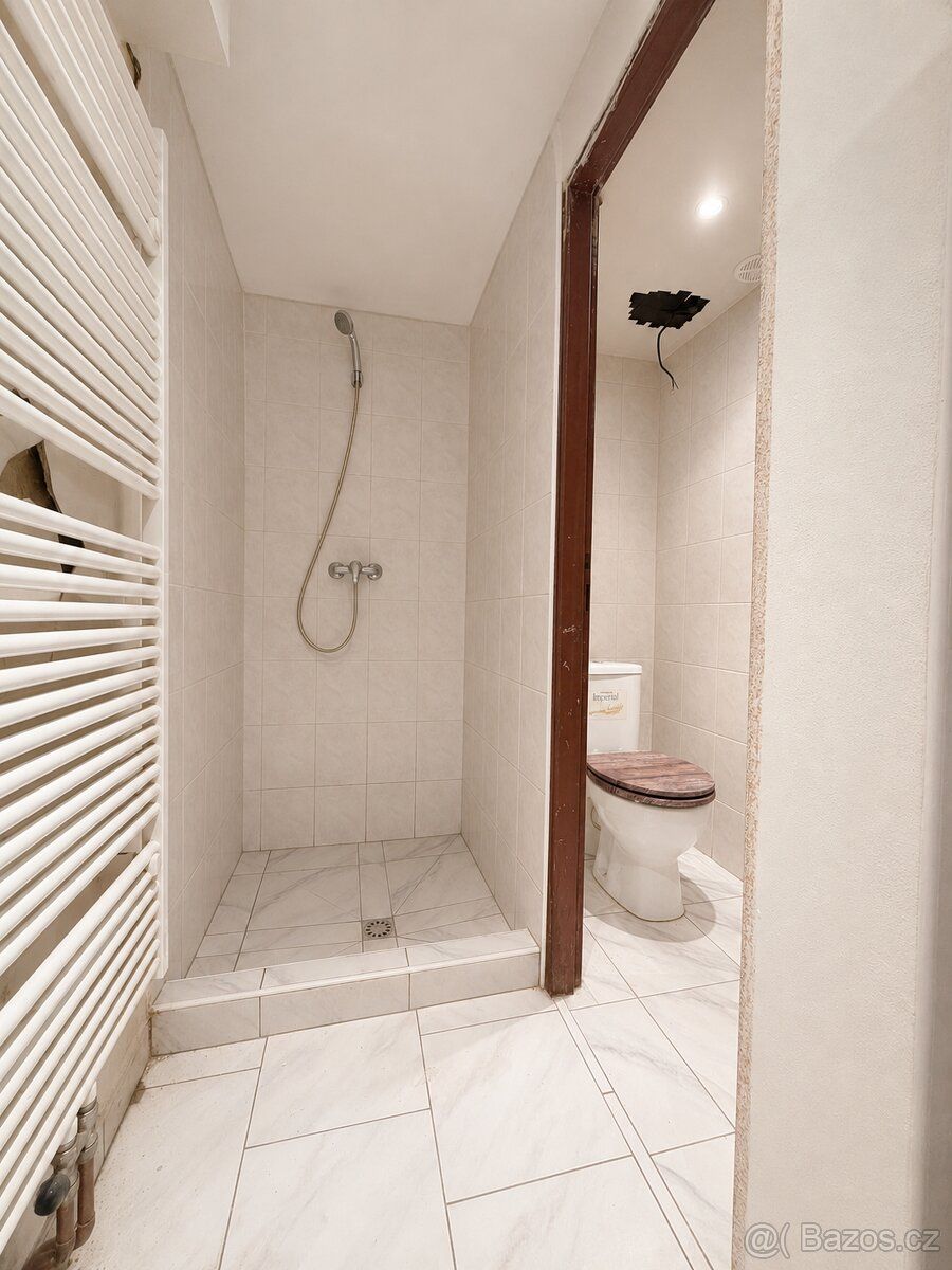 Nabízíme k pronájmu komerční prostor o výměře cca 30 m², kte