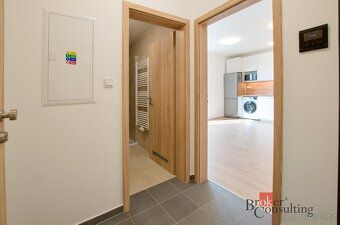 Pronájem, byty/1+kk, 26.46 m2, Železná 3068/18, Jižní Předmě