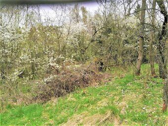 Prodám 1/2 stavebního pozemku o výměře 340 m² v obci Veselá 