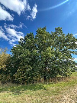 Nabízíme k prodeji pozemek o výměře 637 m², nacházející se v