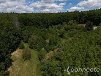 Nabízíme k prodeji pozemek o výměře 3 131 m and sup2; v kata