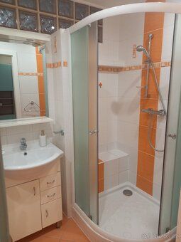 Pronajmu slunný byt o velikosti 2+1 a celkové výměře 57 m2 s