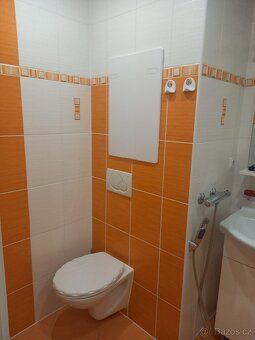 Pronajmu slunný byt o velikosti 2+1 a celkové výměře 57 m2 s