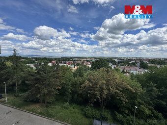 Nabízíme k pronájmu útulný a světlý byt 1+1 o velikosti 33 m