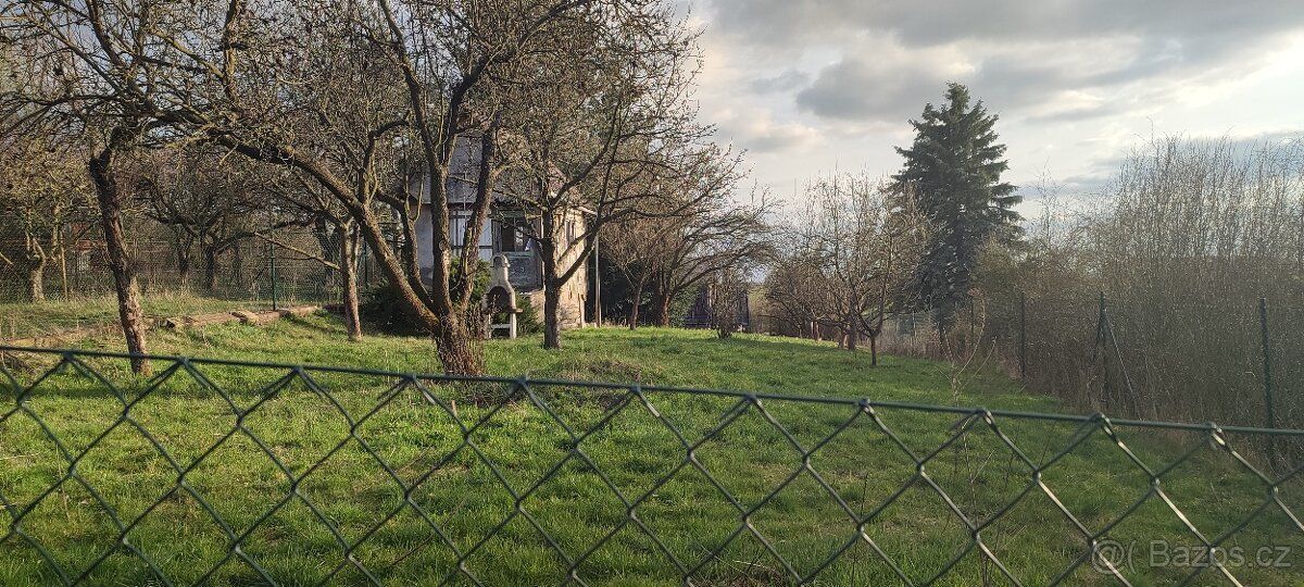 Prodam zahradu 840 m2 s podsklepenou zahradní chatou s přidě