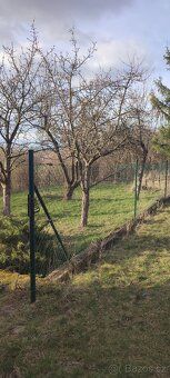 Prodam zahradu 840 m2 s podsklepenou zahradní chatou s přidě