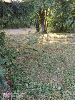 Pronajmu pozemek v obci Pravonín, v obci je obchod s potravi