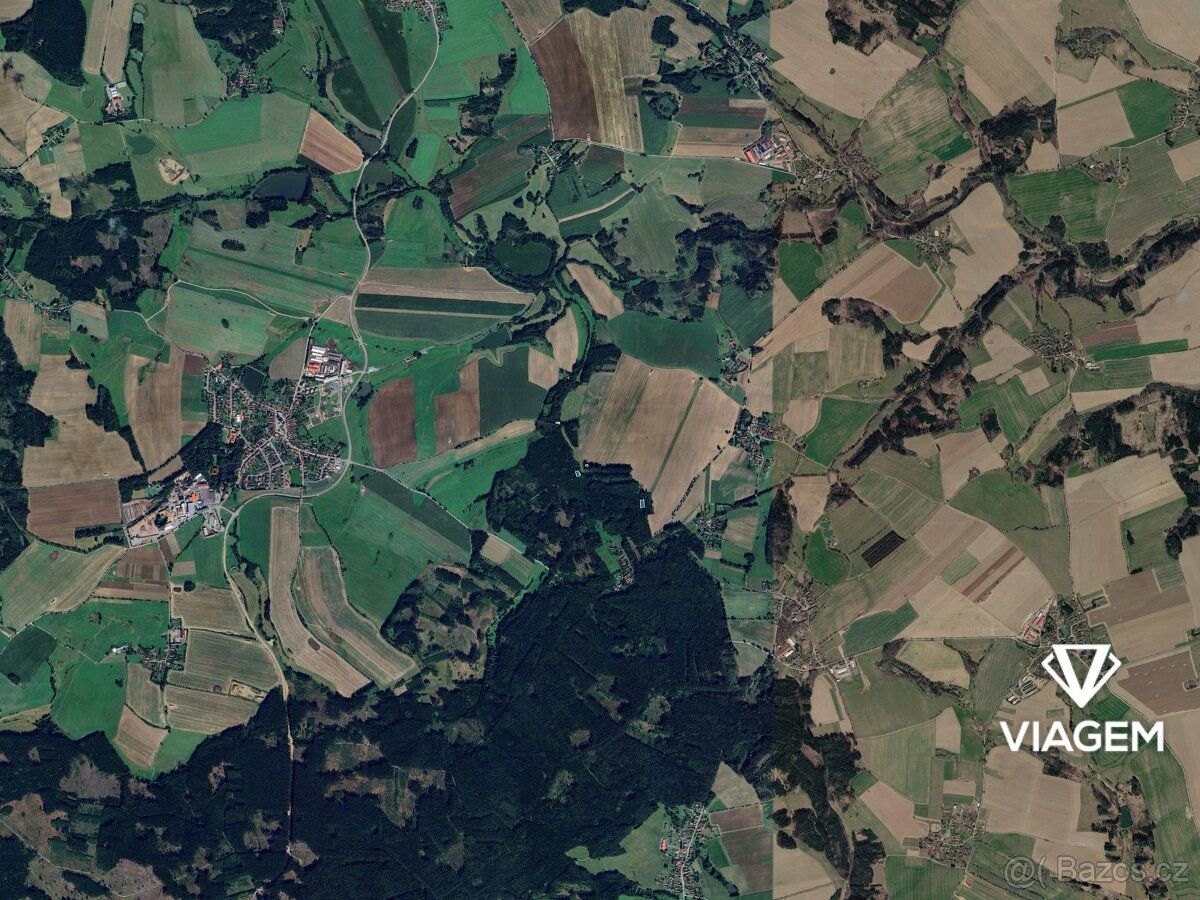 Nabízíme lesní pozemky v katastrálním území Vyklantice, okre