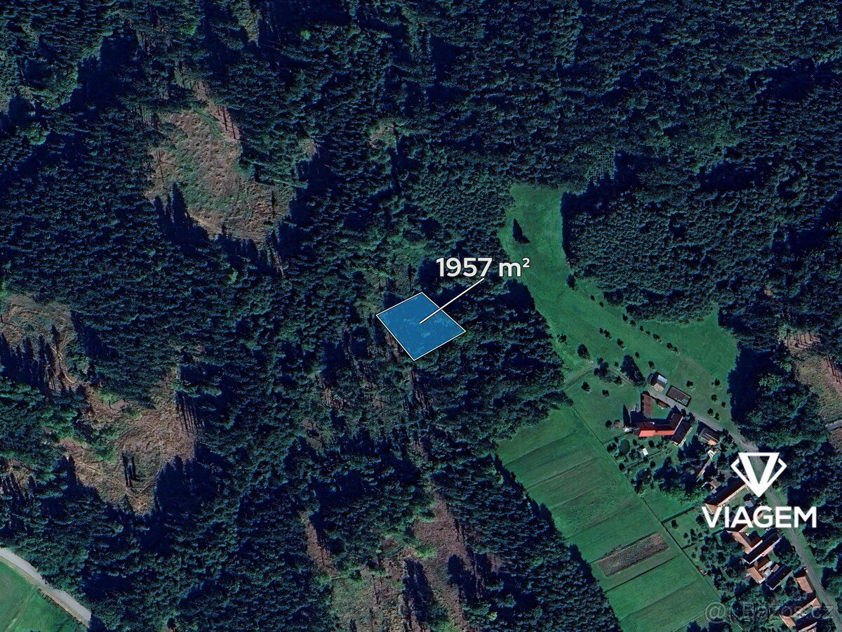 Nabízíme lesní pozemky v katastrálním území Vyklantice, okre