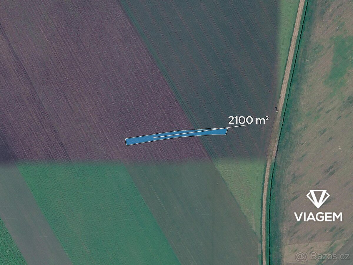 Nabízíme ornou půdu v katastrálním území Sadská, okres Nymbu