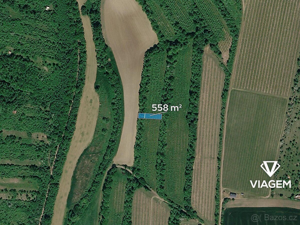 Nabízíme ornou půdu v katastrálním území Žarošice, okres Hod