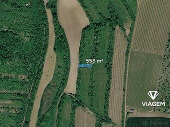Nabízíme ornou půdu v katastrálním území Žarošice, okres Hod