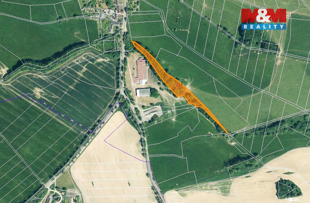 Prodej pozemku o výměře 3245 m2 v katastru obce Miletice u D